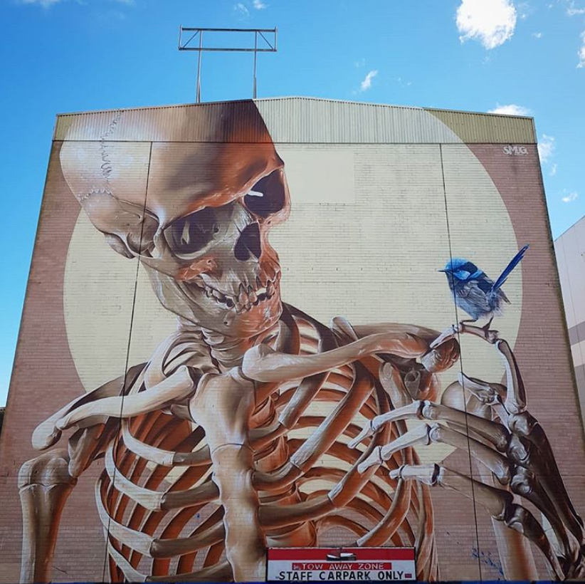 Graffiti caveira enorme de SmugOne em Frankston, Victoria, Melbourn - Austrália