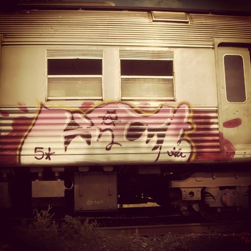 Graffiti em trem de passageiro - Grafiteira carioca Anarkia Boladona
